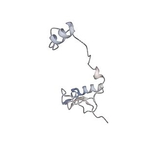 35823_8iyj_h4_v1-0
Cryo-EM structure of the 48-nm repeat doublet microtubule from mouse sperm