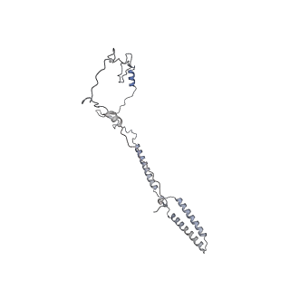 35823_8iyj_h_v1-0
Cryo-EM structure of the 48-nm repeat doublet microtubule from mouse sperm