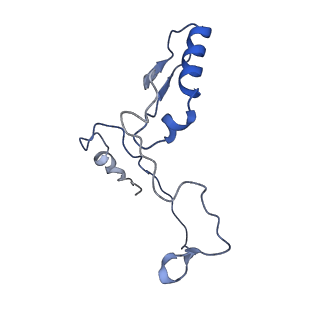 35823_8iyj_l_v1-0
Cryo-EM structure of the 48-nm repeat doublet microtubule from mouse sperm