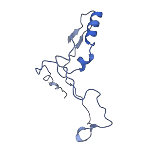 35823_8iyj_m_v1-0
Cryo-EM structure of the 48-nm repeat doublet microtubule from mouse sperm
