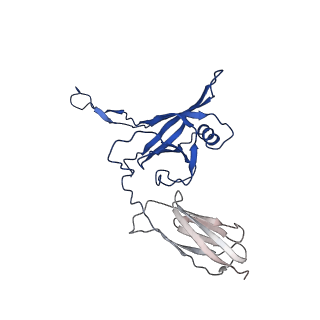 35824_8iyk_A_v1-3
Tail tip conformation 1 of phage lambda tail