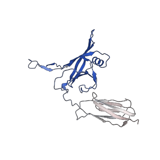 35824_8iyk_B_v1-3
Tail tip conformation 1 of phage lambda tail