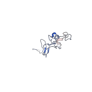 35824_8iyk_I_v1-3
Tail tip conformation 1 of phage lambda tail