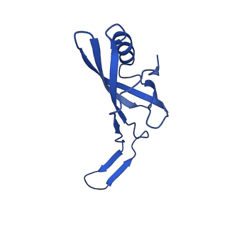 35824_8iyk_K_v1-3
Tail tip conformation 1 of phage lambda tail