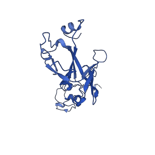 35824_8iyk_L_v1-3
Tail tip conformation 1 of phage lambda tail