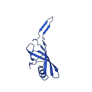 35824_8iyk_M_v1-3
Tail tip conformation 1 of phage lambda tail