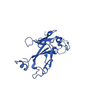 35824_8iyk_N_v1-3
Tail tip conformation 1 of phage lambda tail