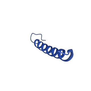 35824_8iyk_O_v1-3
Tail tip conformation 1 of phage lambda tail