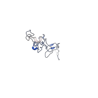 35824_8iyk_P_v1-3
Tail tip conformation 1 of phage lambda tail