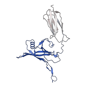 35824_8iyk_Q_v1-3
Tail tip conformation 1 of phage lambda tail