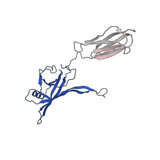 35824_8iyk_R_v1-3
Tail tip conformation 1 of phage lambda tail