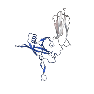 35824_8iyk_S_v1-3
Tail tip conformation 1 of phage lambda tail