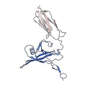 35824_8iyk_U_v1-3
Tail tip conformation 1 of phage lambda tail