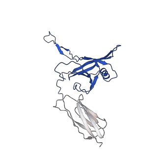 35824_8iyk_V_v1-3
Tail tip conformation 1 of phage lambda tail