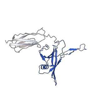 35824_8iyk_X_v1-3
Tail tip conformation 1 of phage lambda tail