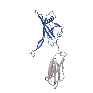 35824_8iyk_b_v1-3
Tail tip conformation 1 of phage lambda tail