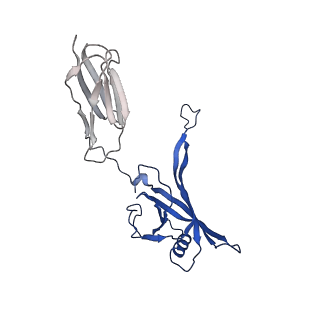35824_8iyk_d_v1-3
Tail tip conformation 1 of phage lambda tail