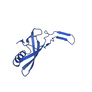 35824_8iyk_e_v1-3
Tail tip conformation 1 of phage lambda tail