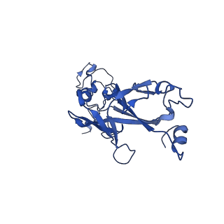 35824_8iyk_f_v1-3
Tail tip conformation 1 of phage lambda tail