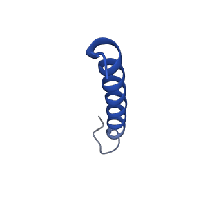 35824_8iyk_g_v1-3
Tail tip conformation 1 of phage lambda tail
