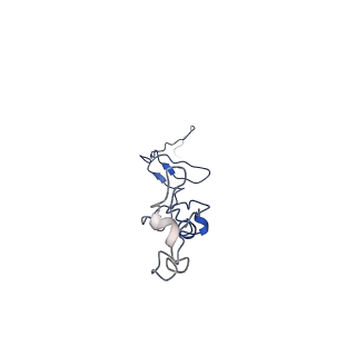 35824_8iyk_h_v1-3
Tail tip conformation 1 of phage lambda tail