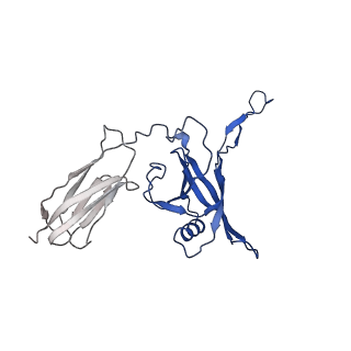 35824_8iyk_i_v1-3
Tail tip conformation 1 of phage lambda tail