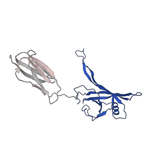35824_8iyk_j_v1-3
Tail tip conformation 1 of phage lambda tail