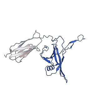 35824_8iyk_k_v1-3
Tail tip conformation 1 of phage lambda tail