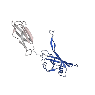 35824_8iyk_l_v1-3
Tail tip conformation 1 of phage lambda tail