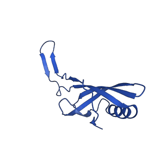 35824_8iyk_m_v1-3
Tail tip conformation 1 of phage lambda tail