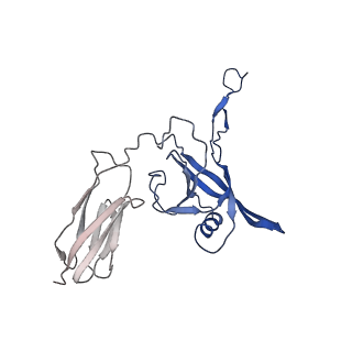 35824_8iyk_n_v1-3
Tail tip conformation 1 of phage lambda tail