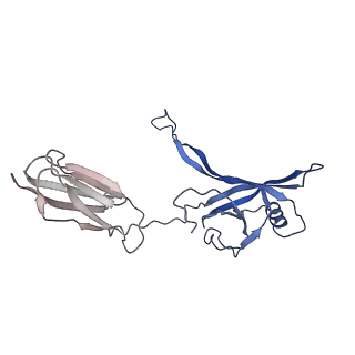 35824_8iyk_o_v1-3
Tail tip conformation 1 of phage lambda tail