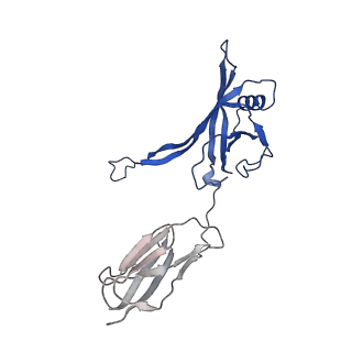35824_8iyk_v_v1-3
Tail tip conformation 1 of phage lambda tail