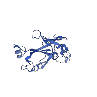 35825_8iyl_G_v1-3
Tail tip conformation 2 of phage lambda tail