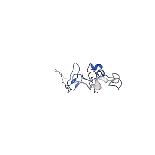 35825_8iyl_I_v1-3
Tail tip conformation 2 of phage lambda tail