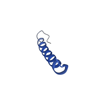 35825_8iyl_K_v1-3
Tail tip conformation 2 of phage lambda tail