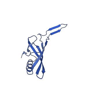 35825_8iyl_M_v1-3
Tail tip conformation 2 of phage lambda tail