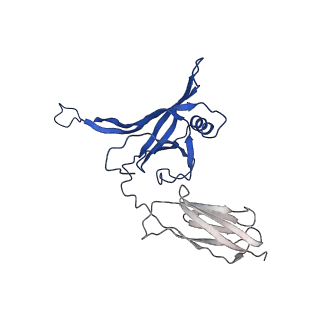 35825_8iyl_O_v1-3
Tail tip conformation 2 of phage lambda tail