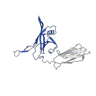 35825_8iyl_Q_v1-3
Tail tip conformation 2 of phage lambda tail