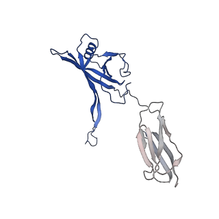 35825_8iyl_R_v1-3
Tail tip conformation 2 of phage lambda tail