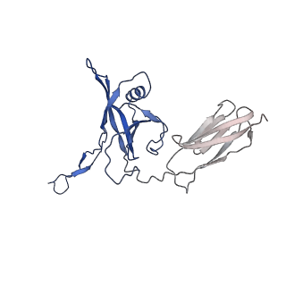 35825_8iyl_U_v1-3
Tail tip conformation 2 of phage lambda tail