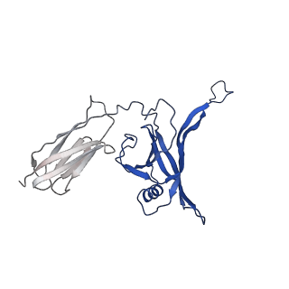 35825_8iyl_V_v1-3
Tail tip conformation 2 of phage lambda tail