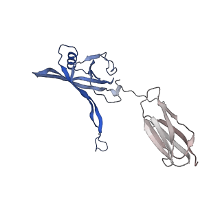 35825_8iyl_W_v1-3
Tail tip conformation 2 of phage lambda tail