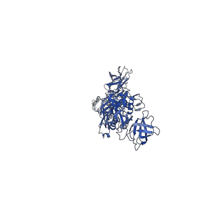 35825_8iyl_Y_v1-3
Tail tip conformation 2 of phage lambda tail