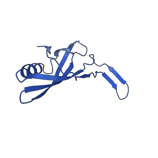 35825_8iyl_Z_v1-3
Tail tip conformation 2 of phage lambda tail