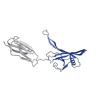 35825_8iyl_a_v1-3
Tail tip conformation 2 of phage lambda tail
