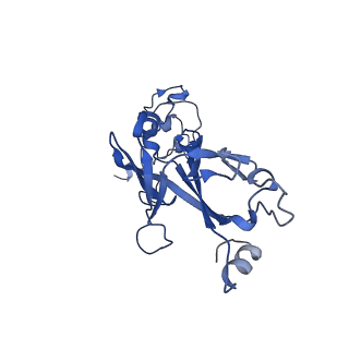 35825_8iyl_d_v1-3
Tail tip conformation 2 of phage lambda tail