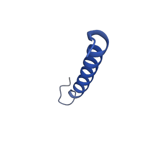 35825_8iyl_e_v1-3
Tail tip conformation 2 of phage lambda tail