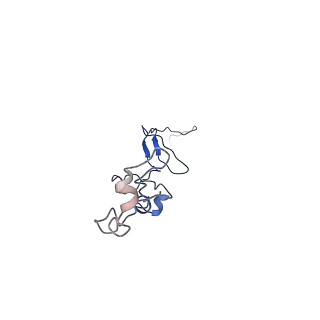 35825_8iyl_f_v1-3
Tail tip conformation 2 of phage lambda tail