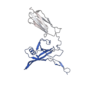 35825_8iyl_i_v1-3
Tail tip conformation 2 of phage lambda tail
